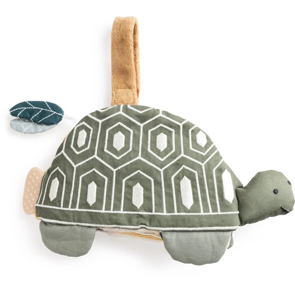 Sebra Turbo Turtle Activity Bok