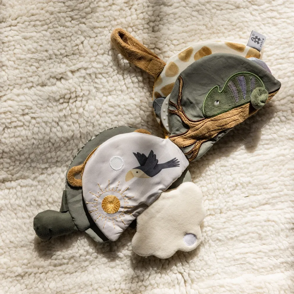 Sebra Turbo Turtle Activity Bok