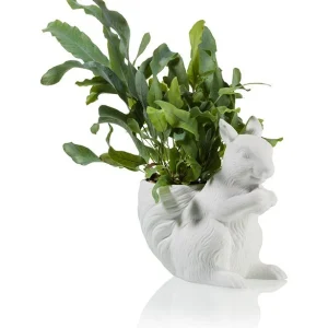 Ekorn blomsterpotte