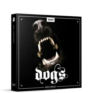 Boom Dogs