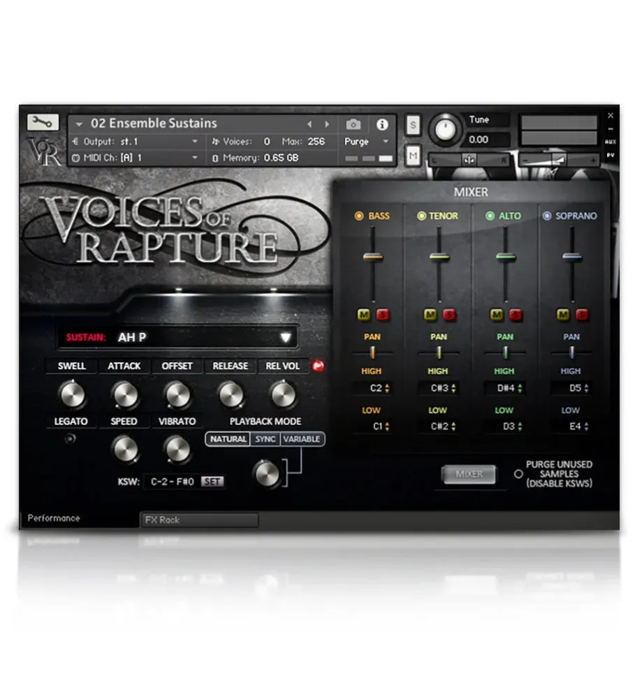 Voices Rapture