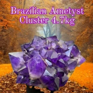 Supervakre BIG XXL Brazilian Ametyst Cluster ca. 4.7kg - 20x16x9cm