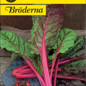 Bladbete ‘Rhubarb Chard’ Rød – Mangold med Røde Stengler