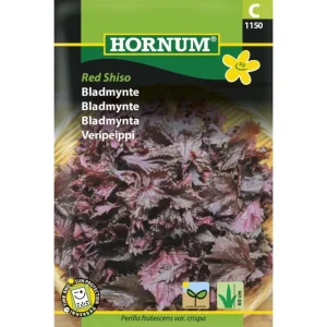 Frø Bladmynte ‘Red Shiso’ – Dekorativ Krydderurt med Frisk Myntearoma