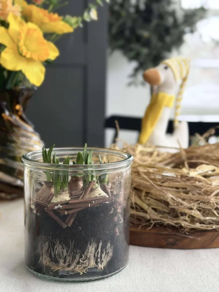 Glass til dekorasjon