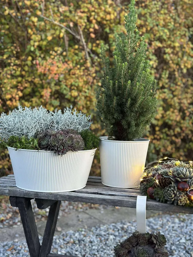 Skjuler med riller - Hvit
