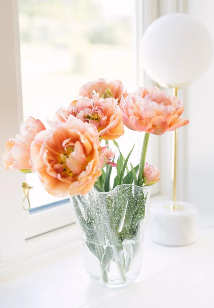 Tulipan Tulpanvase