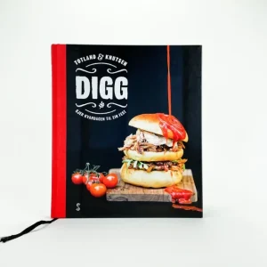 Digg gjer kvardagen til ein fest av Anders Totland