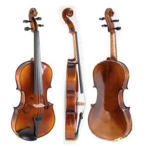 GEWA Viola Allegro - 38.2 cm (4/4 Viola) (Klargjort inkl. formkasse, karbonbue, Aurora strings, sikret transport)