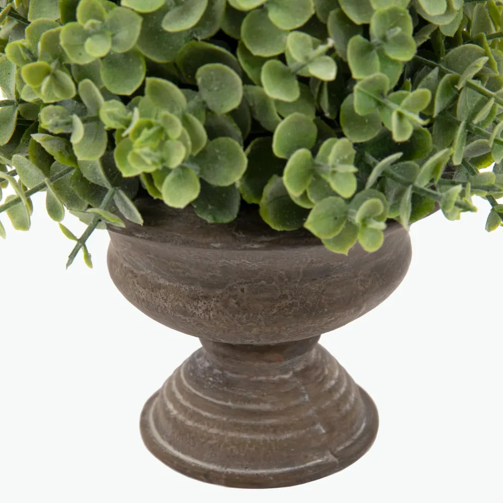 Flora Eucalyptus 20 cm