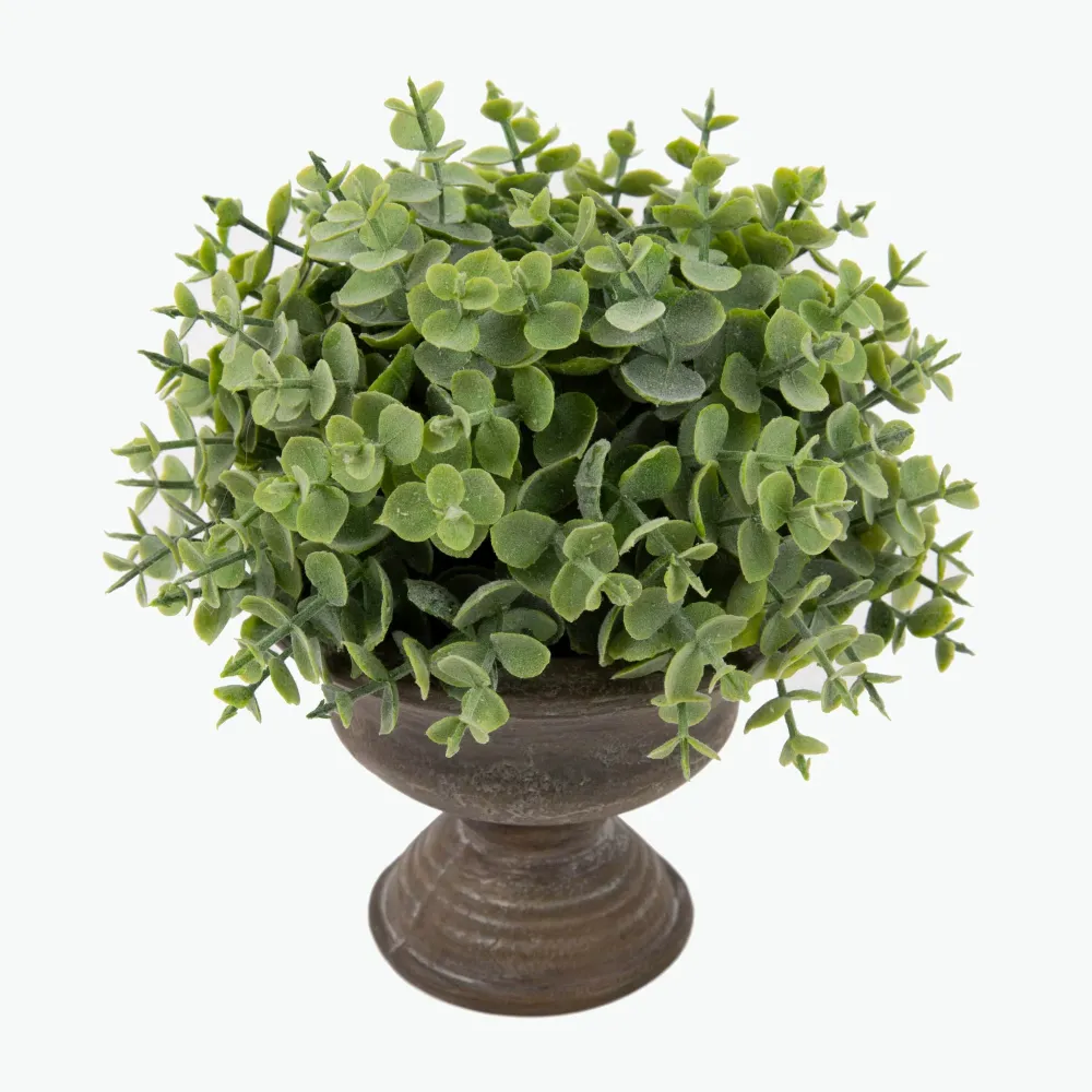 Flora Eucalyptus 20 cm