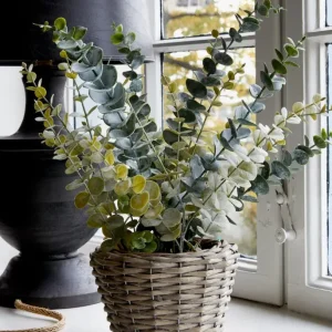 Flora Eucalyptus 50 cm