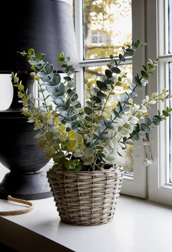Flora Eucalyptus 50 cm