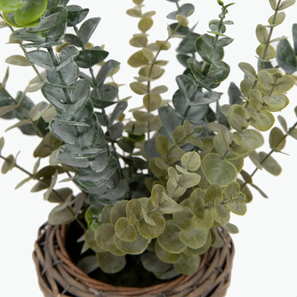 Flora Eucalyptus 50 cm