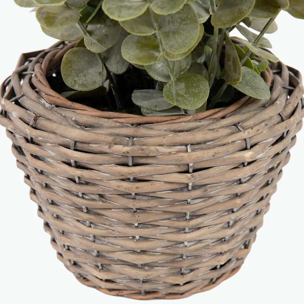 Flora Eucalyptus 50 cm