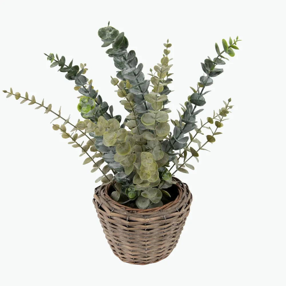 Flora Eucalyptus 50 cm