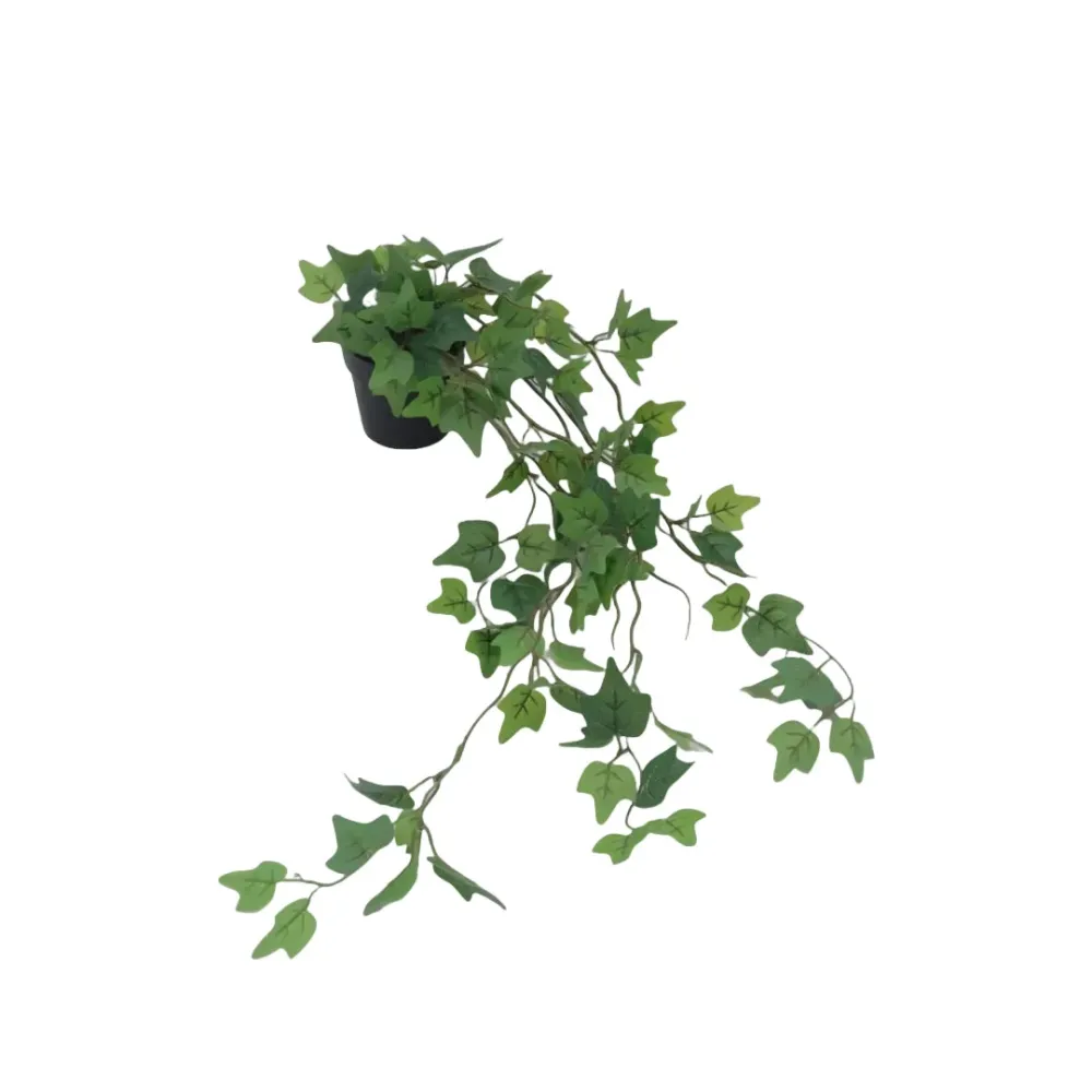 Flora eføy 65 cm