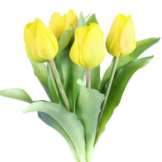 Tulip tulipaner gul 33 cm 7 stk