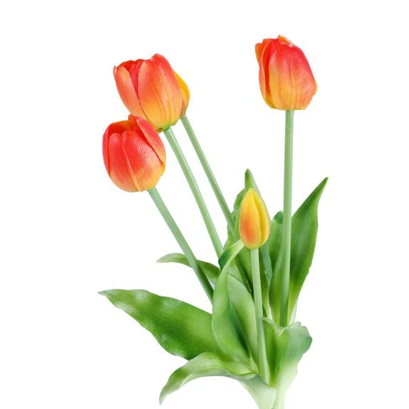 Tulip tulipaner gul/rød 40 cm 5 stk