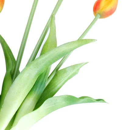 Tulip tulipaner gul/rød 40 cm 5 stk