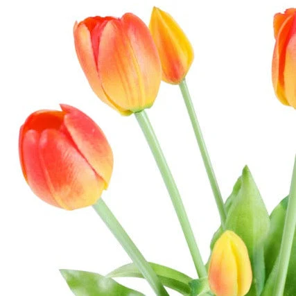 Tulip tulipaner gul/rød 40 cm 5 stk