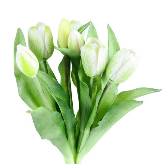 Tulip tulipaner hvit 33 cm 7 stk
