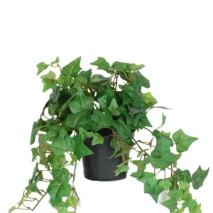 Kunstig Eføy Mini Grønn 22cm