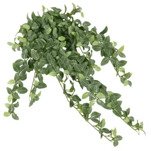 Kunstig Fittonia Miniblad Grønnhvit UV 90cm