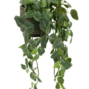 Kunstig Hengeplante Fittonia Grønnhvit UV 70cm