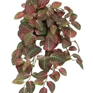 Kunstig Hengeplante Fittonia Rødhvit UV 70cm