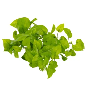 Kunstig Pothos Busk Deluxe UV 60cm