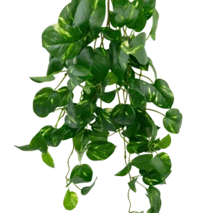 Kunstige Hengende Gullranke UV 60cm