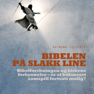 Bibelen på slakk line : Bibelforskningen og kirkens forkynnelse