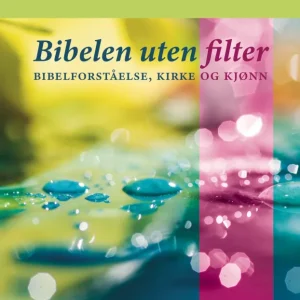 Bibelen uten filter : Om bibelforståelse, kirke og kjønn