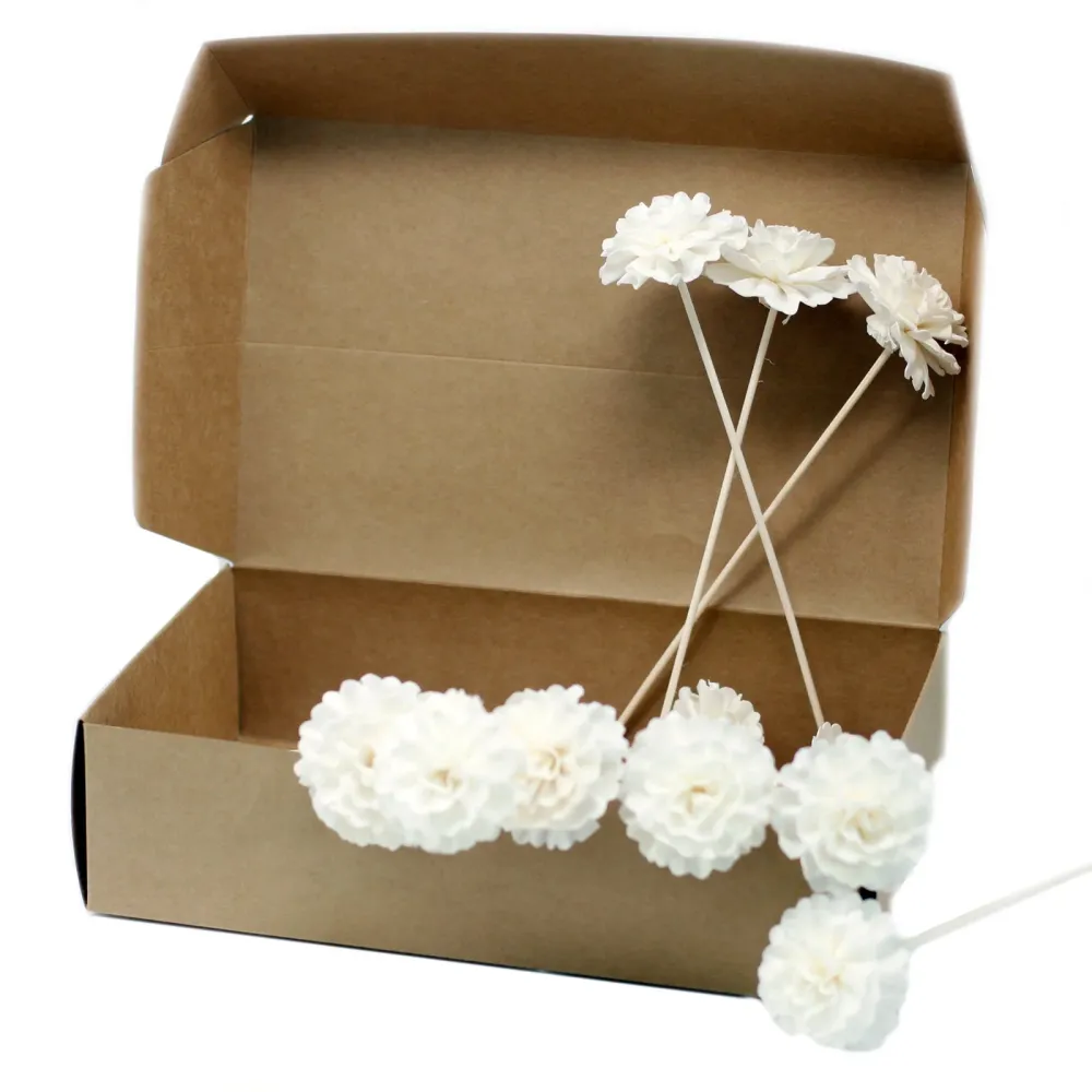 Rør Diffuser Blomster Nellik Sola Tre, 12 Stykker