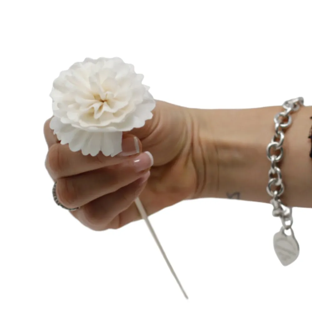 Rør Diffuser Blomster Nellik Sola Tre, 12 Stykker