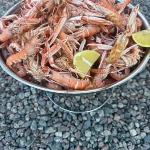 Seafood Platter