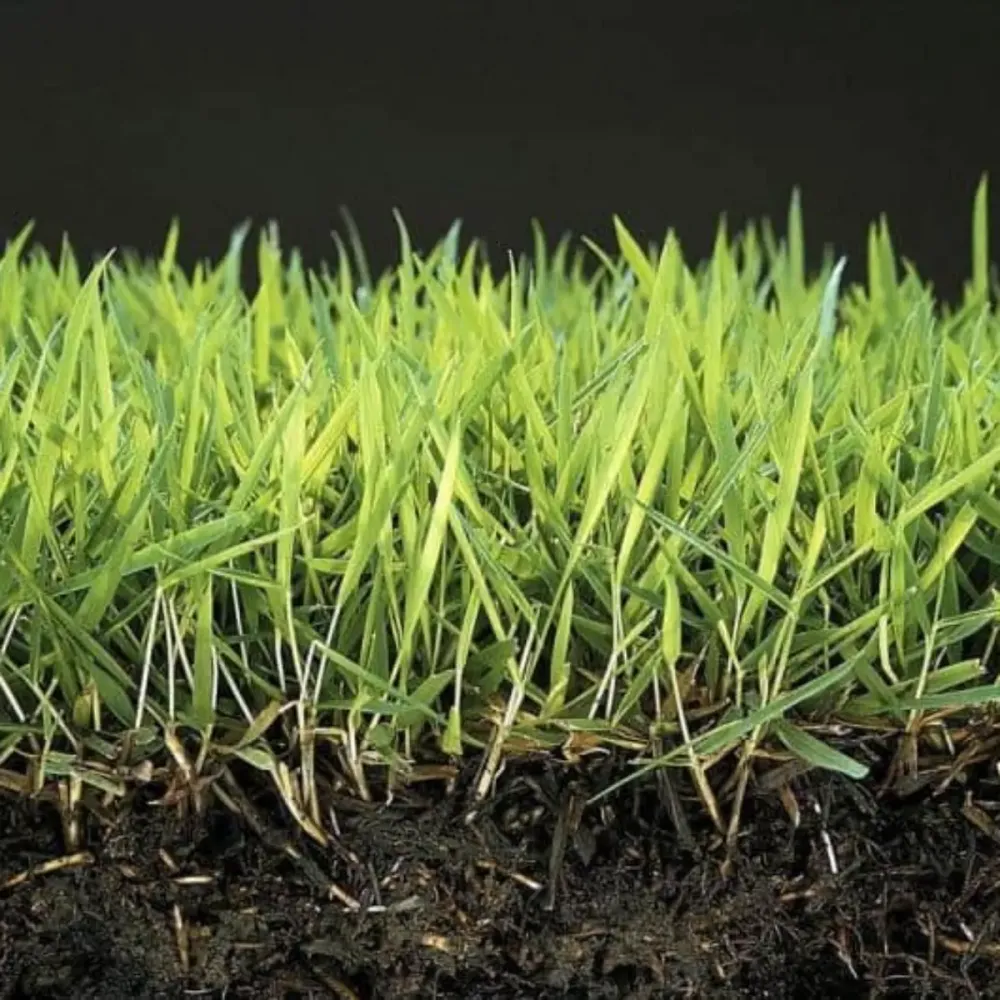 Anti Moss og Reverde Natural Mineravi Lawn