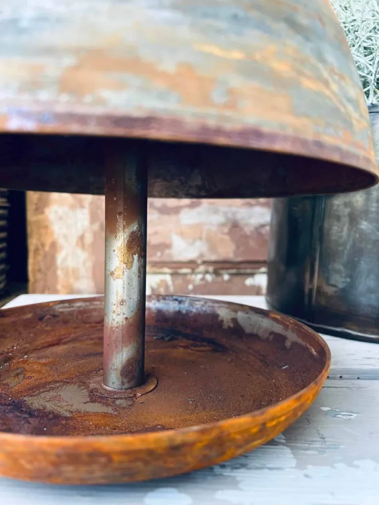 Fuglehus i Rust