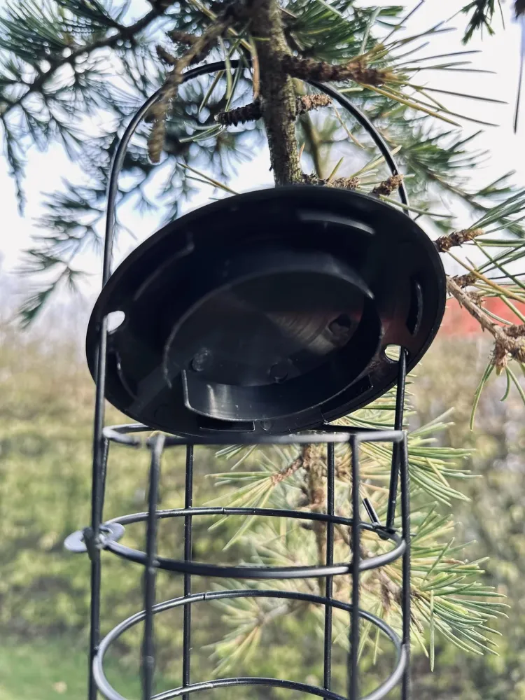 Fuglehus i svart metall