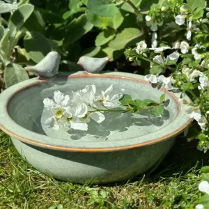 Fuglebad – Grønn keramikk