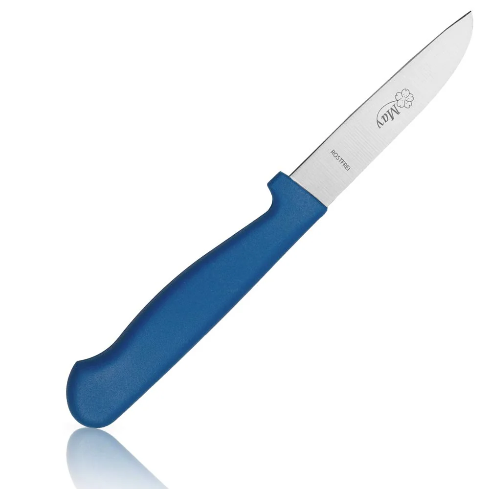 Grønnsakskniv - Fruktskniv - Skrellkniv - Liten allsidig kniv kjøkkenet - rett egg - håndslipt rustfritt stål - rustfri -...