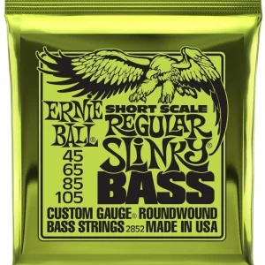 Ernie Ball 2852 Short Scale Bass Regular Slinky Nickel