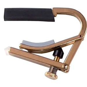 Shubb C8B Delvis Capo