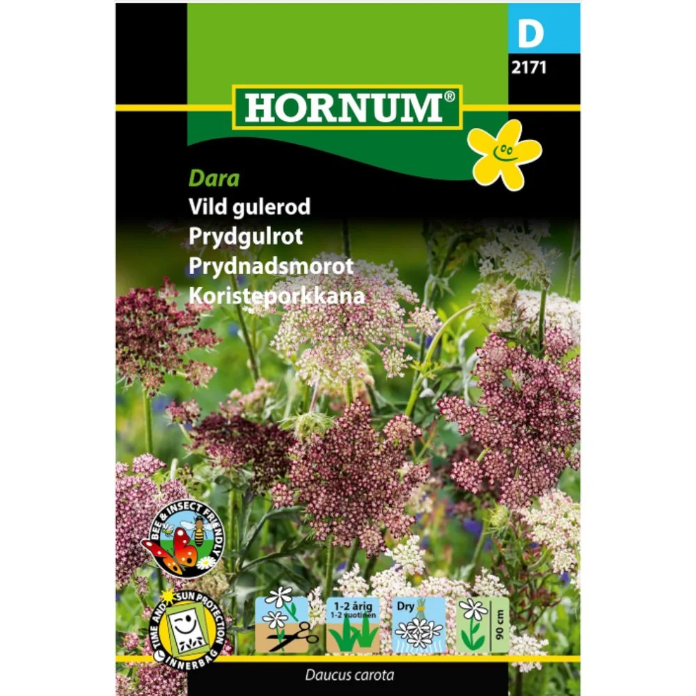 Vill Gulrot ‘Dara’ Frø – Dekorativ og Naturlig Blomst