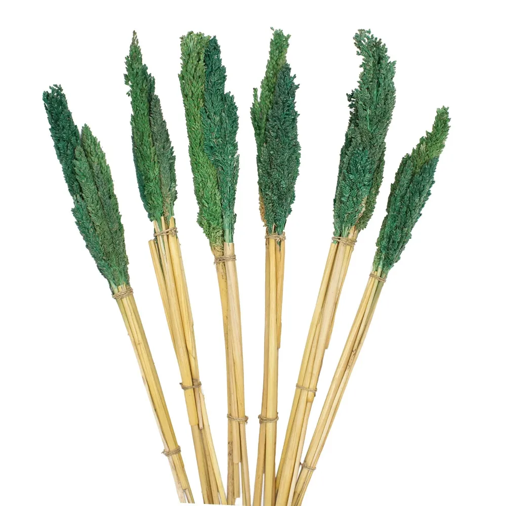 Gressbukett Teal Sett med 6
