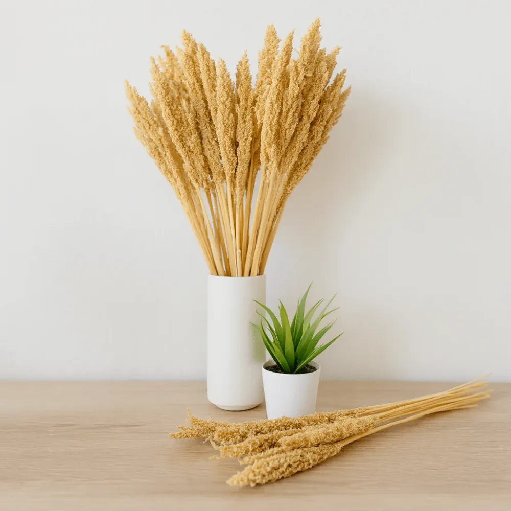 Tørket kantgressbunt, naturlig sett med 6