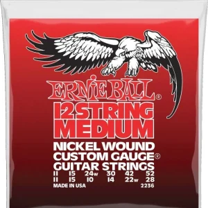 Ernie Ball 2236 12-string Electric Guitar Medium Slinky Nick