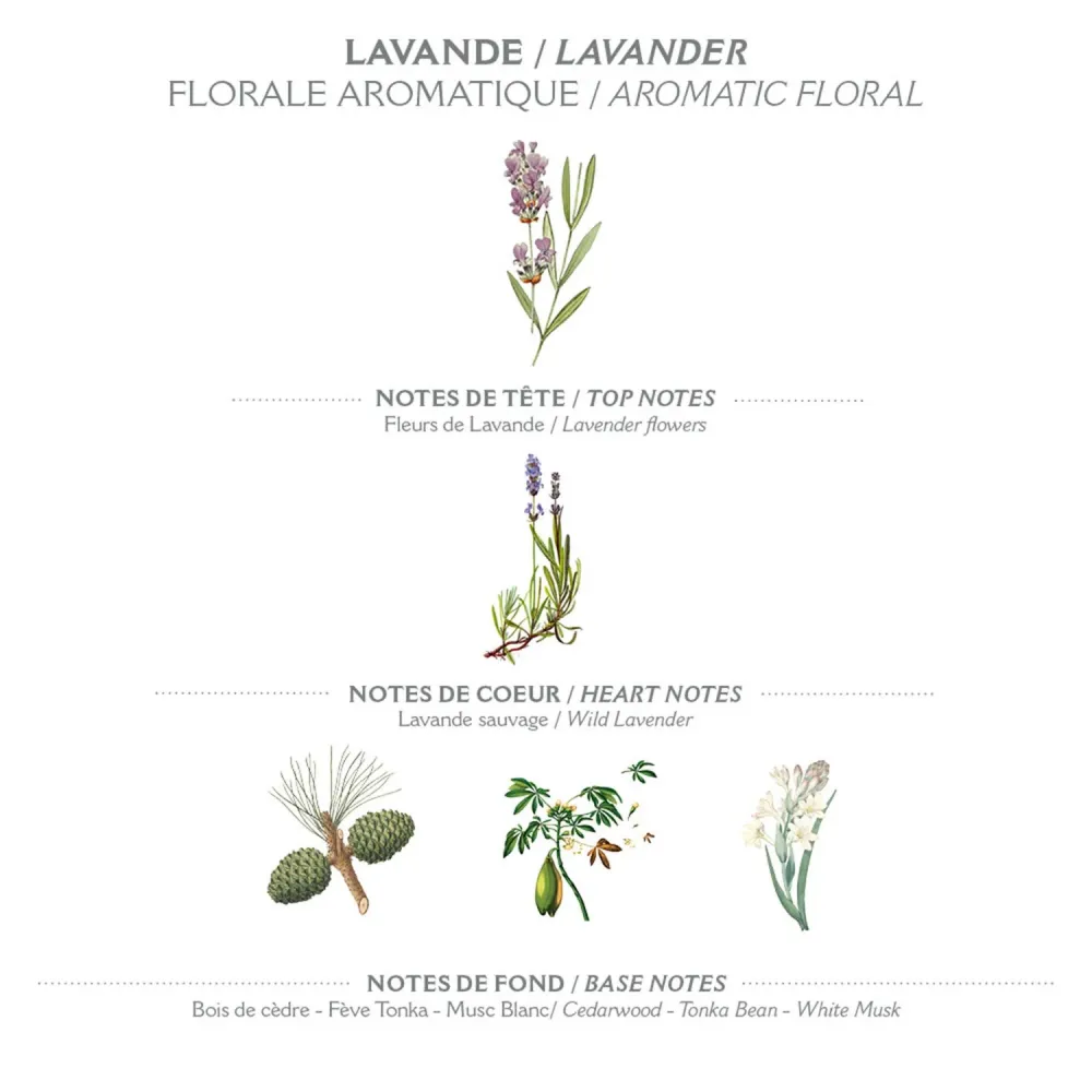 Marseille Liquid Soap 500 ml | Lavender