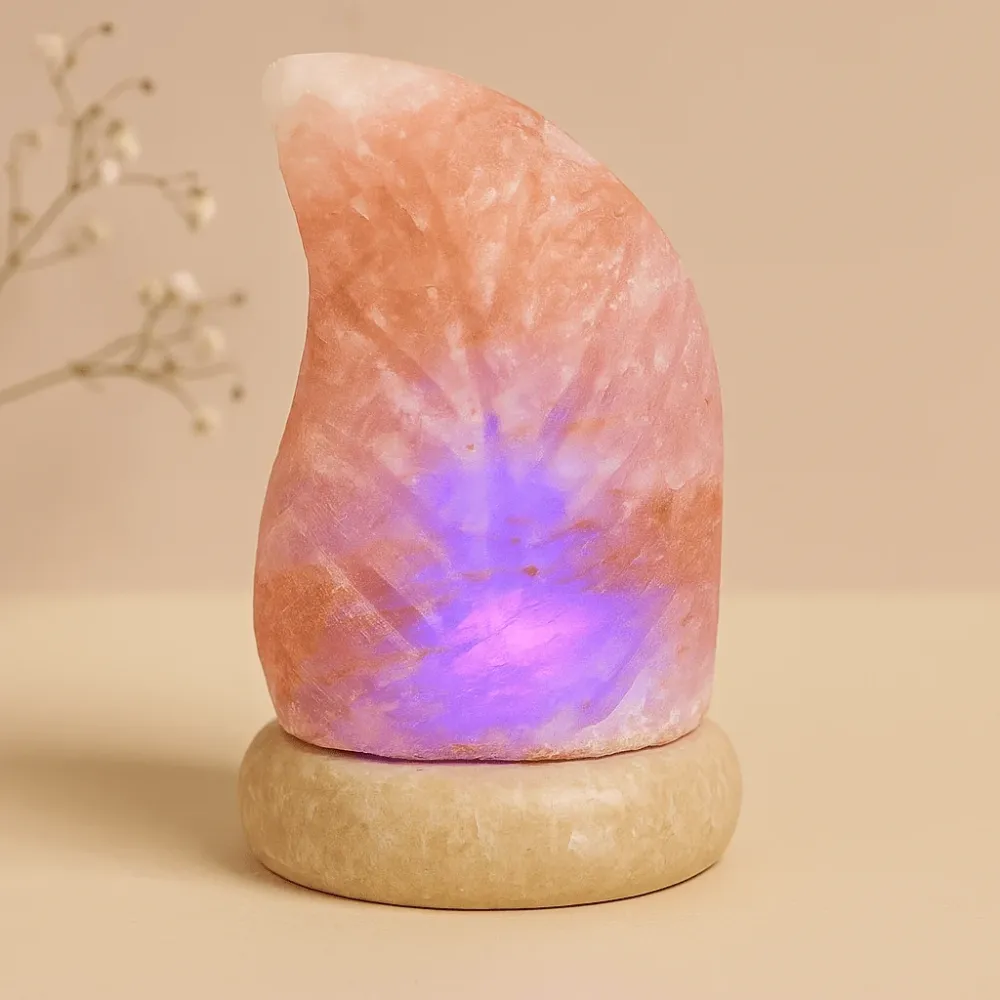 Himalayasaltlampe Blad Flerfarget USB-drevet